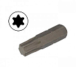 Бит TORX T25 10мм, L=30мм, S2, (упаковка 10 шт) AIST 1323025T